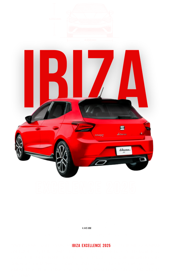 Playera Seat Ibiza